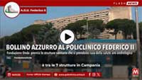 Bollino azzurro al Policlinico Federico II  L’Azienda Ospedaliera Universitaria Federico II di Napoli è tra le 7 strutture in Campania premiate con il Bollino Azzurro dalla Fondazione Onda. L’iniziativa, giunta alla seconda edizione, 𝑎𝑠𝑠𝑒𝑔𝑛𝑎 𝑖𝑙 𝑟𝑖𝑐𝑜𝑛𝑜𝑠𝑐𝑖𝑚𝑒𝑛𝑡𝑜 𝑎𝑔𝑙𝑖 𝑜𝑠𝑝𝑒𝑑𝑎𝑙𝑖 che garantiscono 𝑠𝑒𝑟𝑣𝑖𝑧𝑖 𝑑𝑖 𝑝𝑟𝑒𝑣𝑒𝑛𝑧𝑖𝑜𝑛𝑒, 𝑑𝑖𝑎𝑔𝑛𝑜𝑠𝑖, 𝑐𝑢𝑟𝑎 𝑒 𝑟𝑖𝑎𝑏𝑖𝑙𝑖𝑡𝑎𝑧𝑖𝑜𝑛𝑒 𝑖𝑛 𝑎𝑚𝑏𝑖𝑡𝑜 𝑢𝑟𝑜-𝑎𝑛𝑑𝑟𝑜𝑙𝑜𝑔𝑖𝑐𝑜 con un approccio  𝑚𝑢𝑙𝑡𝑖𝑑𝑖𝑠𝑐𝑖𝑝𝑙𝑖𝑛𝑎𝑟𝑒 ed una 𝑝𝑎𝑟𝑡𝑖𝑐𝑜𝑙𝑎𝑟𝑒 𝑎𝑡𝑡𝑒𝑛𝑧𝑖𝑜𝑛𝑒 𝑎i percorsi dedicati al t𝑢𝑚𝑜𝑟𝑒 𝑑𝑒𝑙𝑙𝑎 𝑝𝑟𝑜𝑠𝑡𝑎𝑡a.