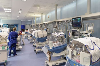 La tenerezza delle mani del papà e del figlio