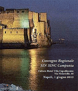 Convegno Sin Sinc Campania